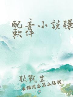 配音小说赚钱的软件