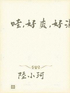 哇,好爽,好湿