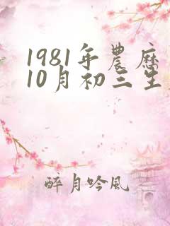 1981年农历10月初三生辰八字 1981年农历10月初三生辰八字
