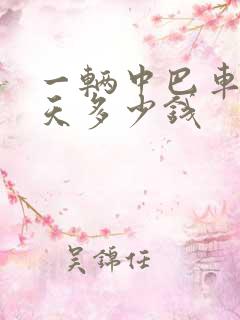 一辆中巴车租一天多少钱
