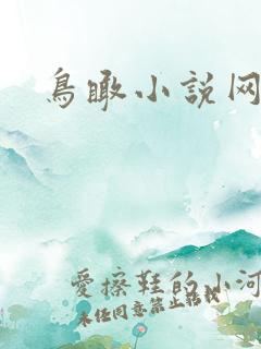 鸟瞰小说网