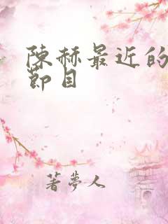 陈赫最近的综艺节目