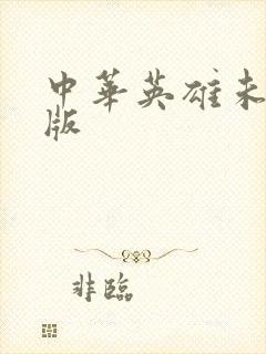 中华英雄未删减版