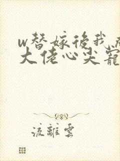 w替嫁后我成了大佬心尖宠》