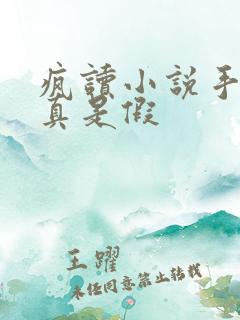疯读小说手机是真是假
