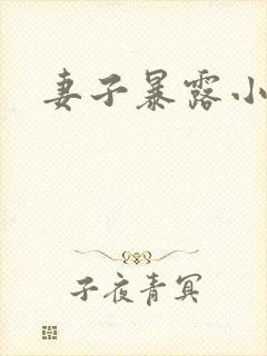 妻子暴露小说