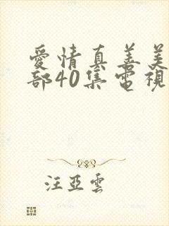 爱情真善美第二部40集电视剧免费