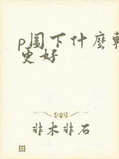 p图下什么软件更好