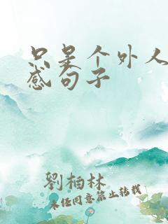 只是个外人的伤感句子