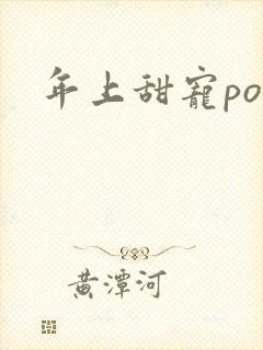 年上甜宠po文