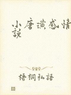 小唐璜感情史解说