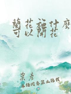 兰花施什么肥料可以开花