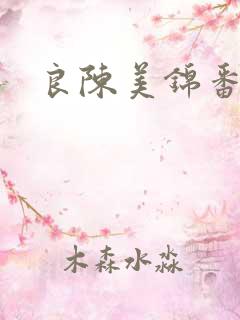 良陈美锦番外篇