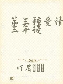 第三种爱情番外三年后