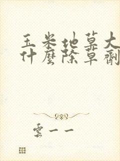 玉米地草大了用什么除草剂
