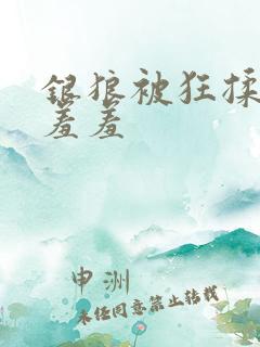 银狼被狂揉下部羞羞 银狼被狂揉下部羞羞