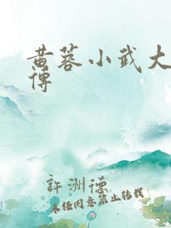 黄蓉小武大武后传