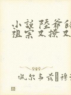 小说 陆爷的小祖宗又撩又飒