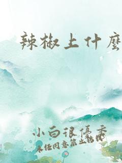 辣椒上什么肥好