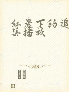 红岩下的追捕全集播放