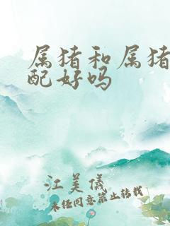 属猪和属猪的婚配好吗