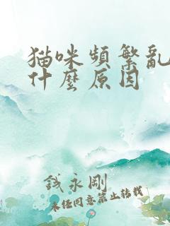 猫咪频繁乱尿是什么原因