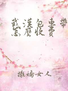 武汉包车带司机怎么收费 武汉包车带司机怎么收费