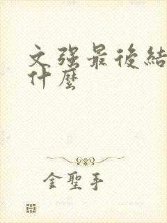 文强最后结局是什么