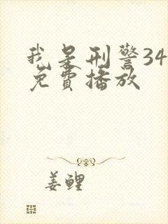 我是刑警34集免费播放
