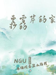 曹雪芹的家是谁抄的