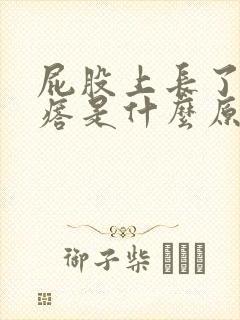 屁股上长了个疙瘩是什么原因