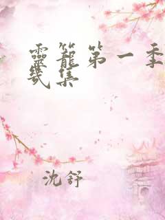 灵笼第一季一共几集