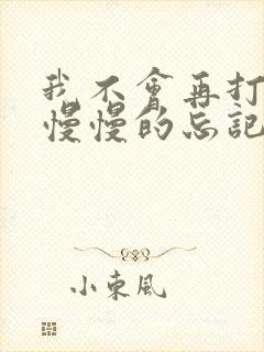 我不会再打扰你慢慢的忘记你是什么歌 我不会再打扰你慢慢的忘记你是什么歌