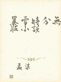 暴雪时分无删减版小说