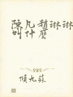 陈凡赵琳琳小说叫什么