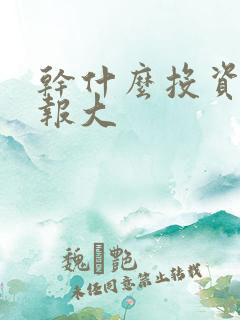 干什么投资小回报大