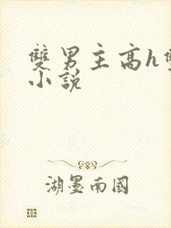 双男主高h双性小说