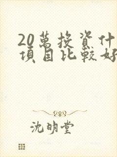 20万投资什么项目比较好