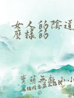 女人的阴道是怎么样的 女人的阴道是怎么样的