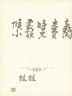 倾尽时光来爱你小说免费阅读