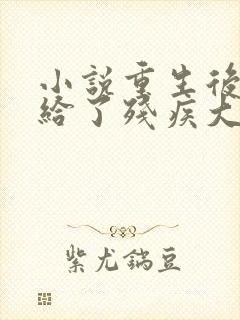 小说重生后我嫁给了残疾大佬