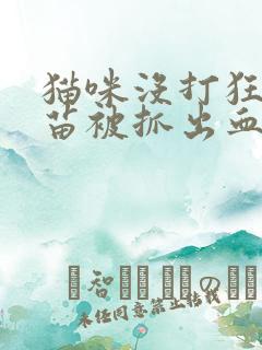 猫咪没打狂犬疫苗被抓出血了怎么办
