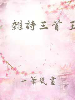 杂诗三首 王维