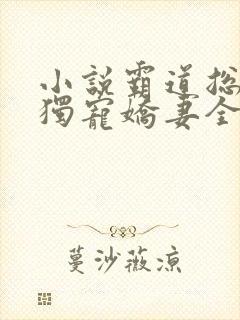 小说霸道总裁的独宠娇妻全文阅读
