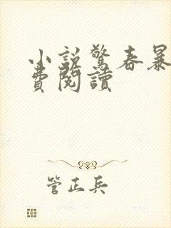 小说惊春暴雪免费阅读