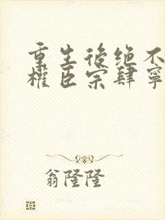 重生后绝不嫁给权臣宗肆宁芙的小说