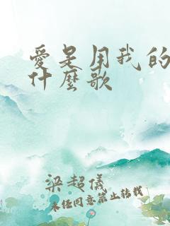 爱是用我的心是什么歌