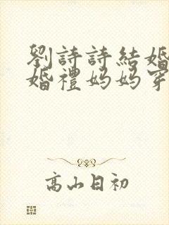 刘诗诗结婚妈妈婚礼妈妈穿的