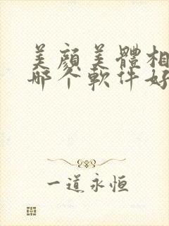 美颜美体相机用哪个软件好