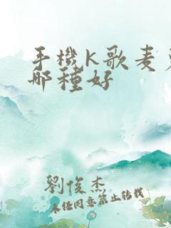 手机k歌麦克风哪种好